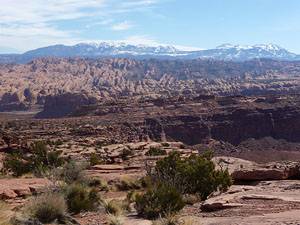 View of Behind the Rocks and the La Sal Mountains from the Amasa Back trail.