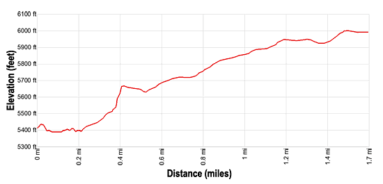 Elevation Profile for the Cassidy Arch hiking trail