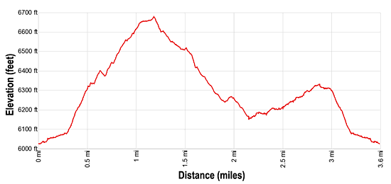Elevation Profile for the Chimney Rock Loop hiking trail