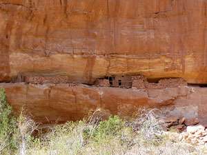 Bannister House Ruin