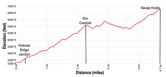 Elevation Profile for the Navajo Knobs Hike