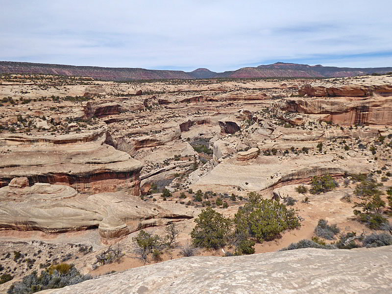 View of White Canyon