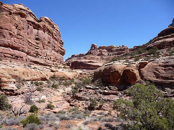 Looking up the Trail Fork of Slickhorn Canyon 