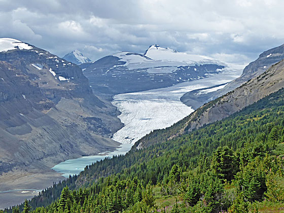 Close-up of Saskatchewan Glacier and Castleguard Mountain