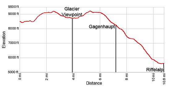 Elevation Profile Gorner Glacier Viewpoint