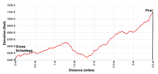 Elevation Profile - Grosse Scheidegg to First Elevation Profile