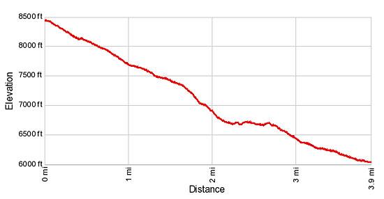 Elevation Profile for Plattjen to Saas Fee Hike