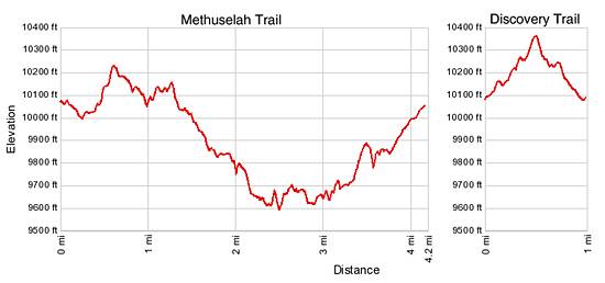 Discovery Trail and Methuselah Trail Elevation Profile