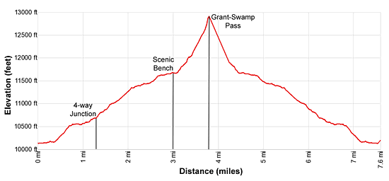Elevation Profile - Swamp Canyon