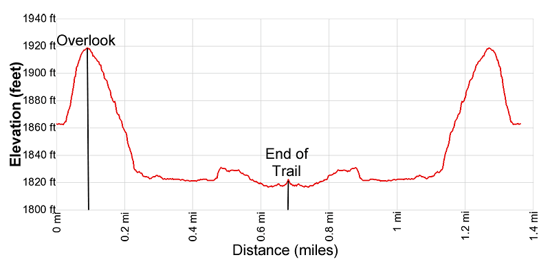Elevation Profile for the Boquillas Canyon hike