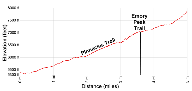 Elevation Profile of the Emory Peak Hike