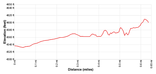 Elevation Profile for Double Stack Ruin hike