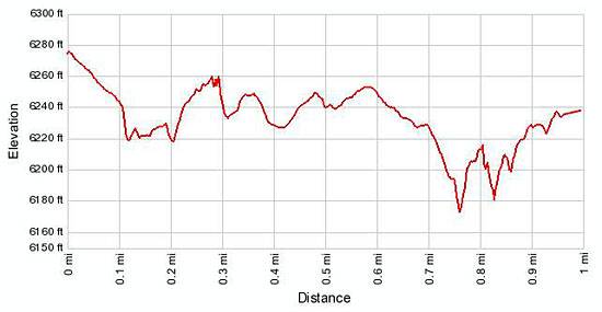 Grand View Point elevation profile