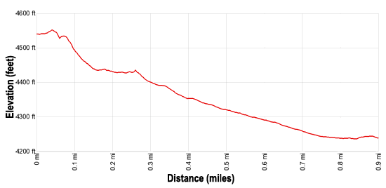 Elevation Profile for the Park Avenue Hike in Arches National Park