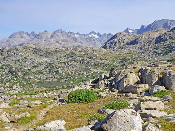Looking north from Lester Pass